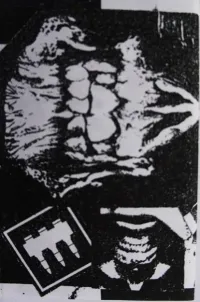 Victor Nettoyeur - [untitled]