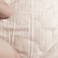 Silver Swans - Touch
