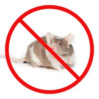 Ultrasonic Pest Repeller - Mice Repel