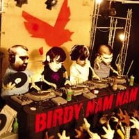 Birdy Nam Nam - Birdy Nam Nam