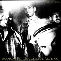Birdy Nam Nam - Manual for Succesfull Rioting