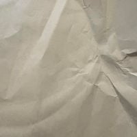 The 365 Project - 245: Rotter