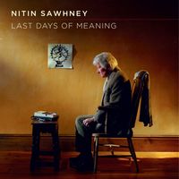 Nitin Sawhney - Last Days of Meaning