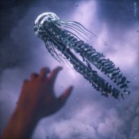 MEMBA - Strider