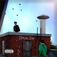 Mike Shabb - Sewaside