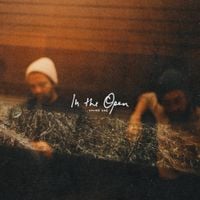 Young the Giant - In The Open Volume One