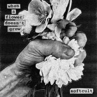 Softcult - When a Flower Doesn&rsquo;t Grow