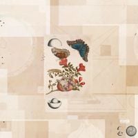 Dom McLennon - proof of life