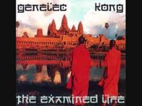 Genelec - The Examined Life