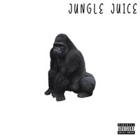 Riko310 - Jungle Juice Hook