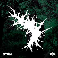 ST&Uuml;M - Son Of The Forest