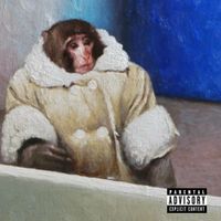 peacock - MONKEY