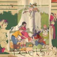 Animal Collective - Feels (20th Anniversary)