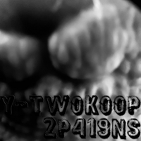 y-Twokoop - 2P419NS
