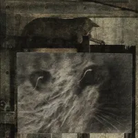 Burial Garden - Why Is It My Friends Are Always There for Me When I'm Never There for Them?