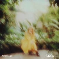 Jackson Sage - Indelible
