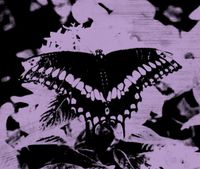 Pain Chain - Aural Pleasure for Wretched Souls