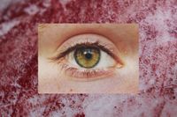 Pain Chain - Self Inflicted