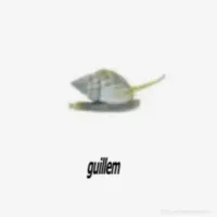 H3RM35 - guillem (mixed on &pound;8 headphones)