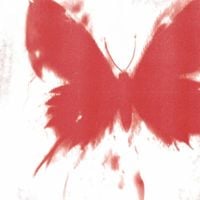 Beauty School Dropout - WHERE DID ALL THE BUTTERFLIES GO?