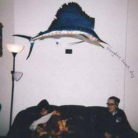 Slaughter Beach, Dog - DAWG