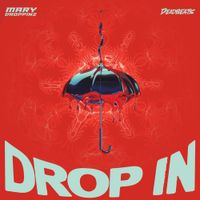 Mary Droppinz - Drop in