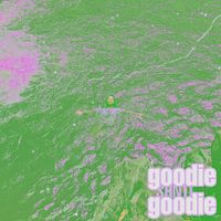 SHNTI - Goodie Goodie