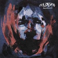 COLDSKIN - Fragments of Failure