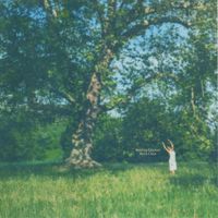 Alicia Clara - Nothing Dazzled