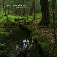 Mark Brennan - Ancient Forest