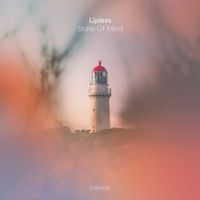 Lipless - State of Mind