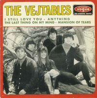 The Vejtables - I Still Love You