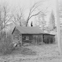 Old Saw - The Wringing Cloth