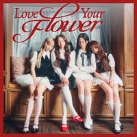 PRIMROSE - Love Your Flower