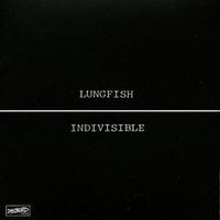 Lungfish - Indivisible