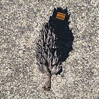 Onry - ᵗʰᵉ 𝑬𝒑𝒉𝒆𝒎𝒆𝒓𝒂 ᵉʳᵃ
