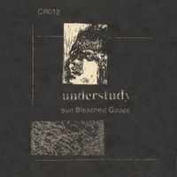 UnderStudy - Sun Bleached Gauze
