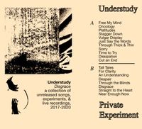 UnderStudy - Disgrace