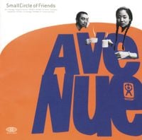 Small Circle of Friends - Avenue