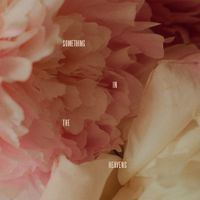 Lewis Capaldi - Something In The Heavens