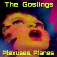 The Goslings - Plexuses, Planes