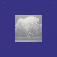 Oso Leone - Gallery Love