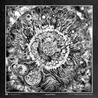 Connor Kaminski - Tapestry