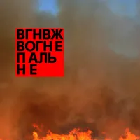вaгоновожaтые - Вогнепальне