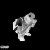 Zaylevelten - before 1t g0t crazy