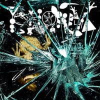 Phyllomedusa - Glass To Face Avocation