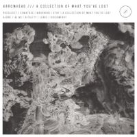 Arrowhead - A Collection Of What You've Lost