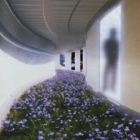 Lightners - F l o w e r /// H o u r
