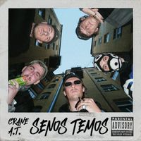 Adomas Treinys - Senos temos