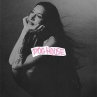 Drake - DOG HOUSE